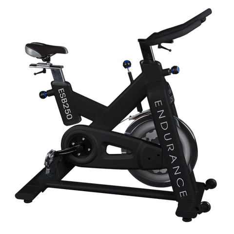 Body-Solid Endurance Indoor Exercise Bike ESB250