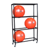 Body Solid Stability Ball Rack - Vertical Storage - Durable Organization