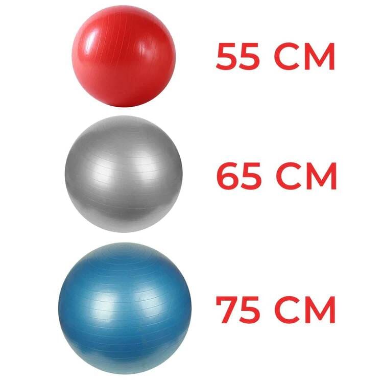 Sunny Health & Fitness Core Stability Exercise Ball-Anti-Burst Gym Ball-Durable Yoga Ball